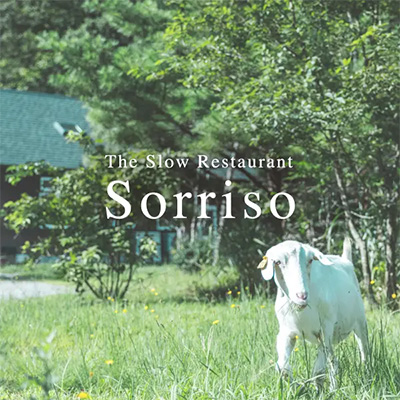 WEB／ホームページ制作 Webサイト制作｜石川県能美市のイタリアン料理店「SORRISO/ソリッソ」Webサイトデザイン